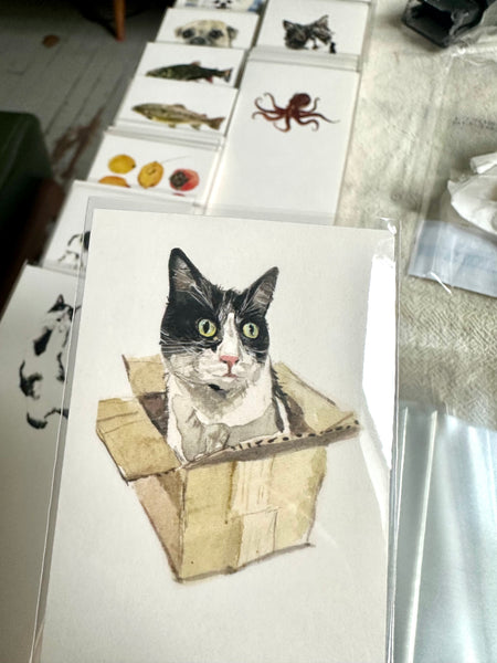 bookmarks