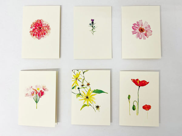 Assorted Box Set: Spring flowers