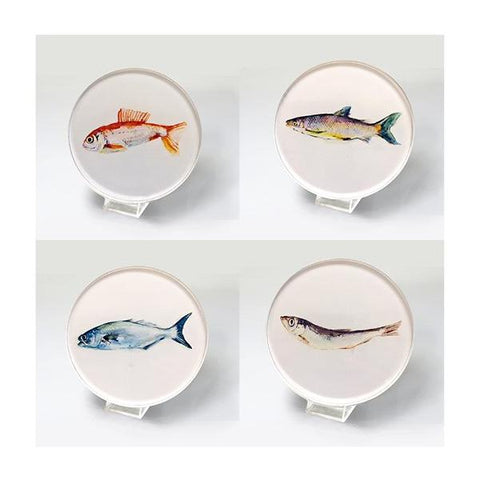 Coasters Fish - CS4