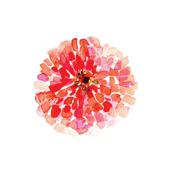 Spring - 101