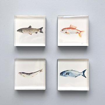 Magnets Fish - MG3