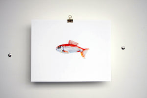 Art Print SP-132